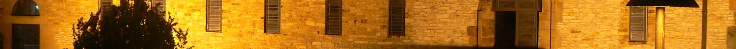 Kaiserpfalz bei Nacht. (Foto: LWL)