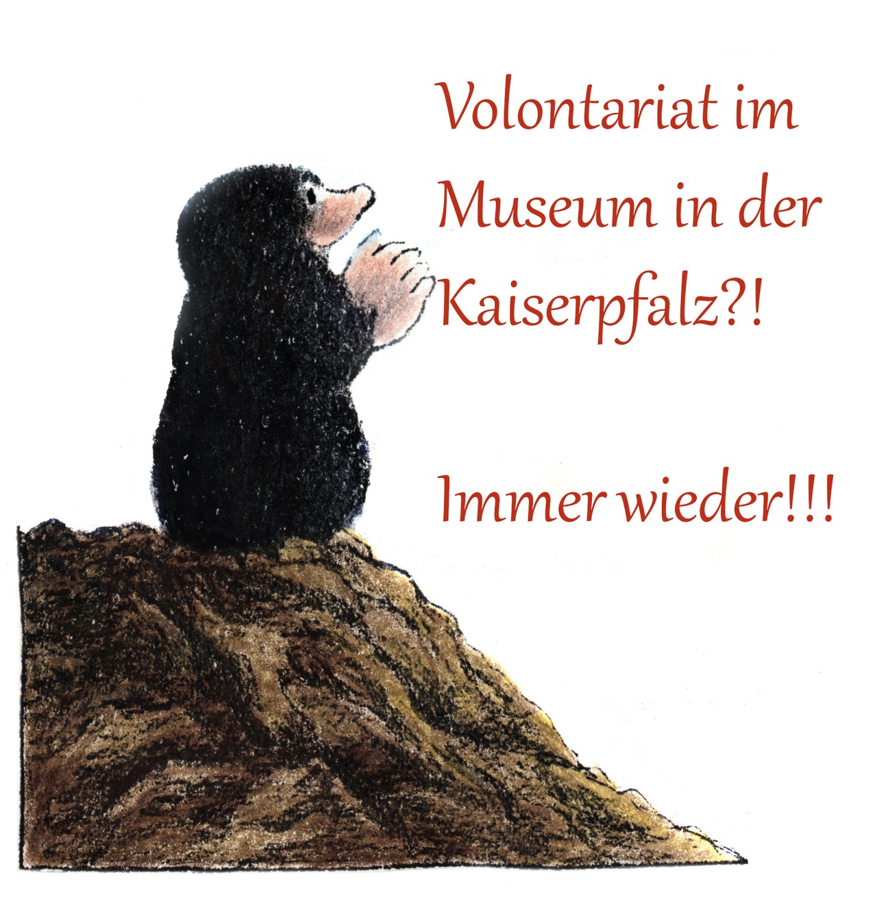Kalle der Museumsmaulwurf. Foto: LWL